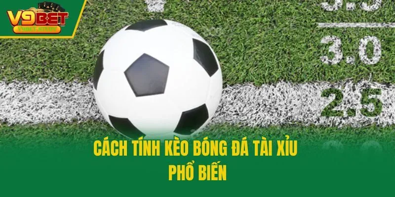 Cách tính kèo bóng đá tài xỉu phổ biến