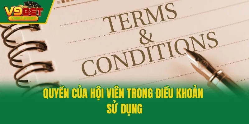 Quyền của hội viên trong điều khoản sử dụng