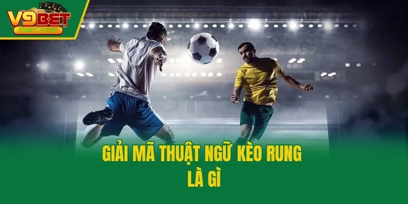 Giải mã thuật ngữ kèo rung là gì