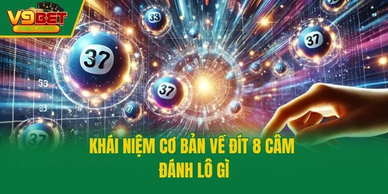 Khái niệm cơ bản về đít 8 câm đánh lô gì