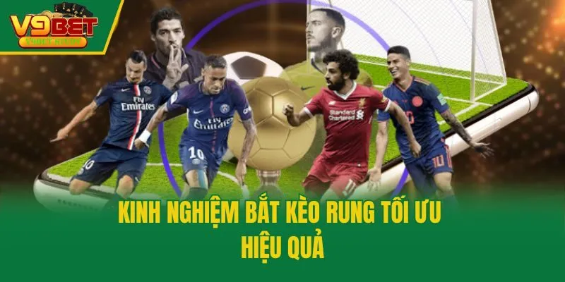 Kinh nghiệm bắt kèo rung tối ưu hiệu quả