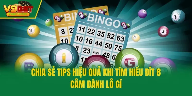 Chia sẻ tips hiệu quả khi tìm hiểu đít 8 câm đánh lô gì