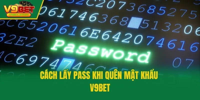 Cách lấy pass khi quên mật khẩu V9bet