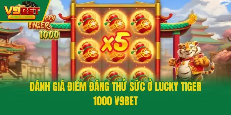 Đánh giá điểm đáng thử sức ở Lucky Tiger 1000 V9bet